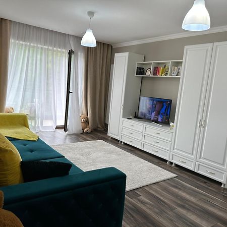 בראשוב Silvelen Mountain View Apartment מראה חיצוני תמונה