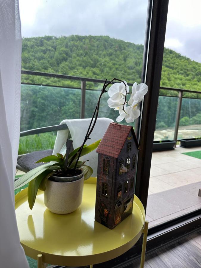 בראשוב Silvelen Mountain View Apartment מראה חיצוני תמונה