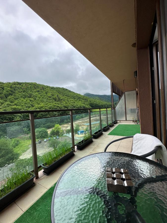 בראשוב Silvelen Mountain View Apartment מראה חיצוני תמונה
